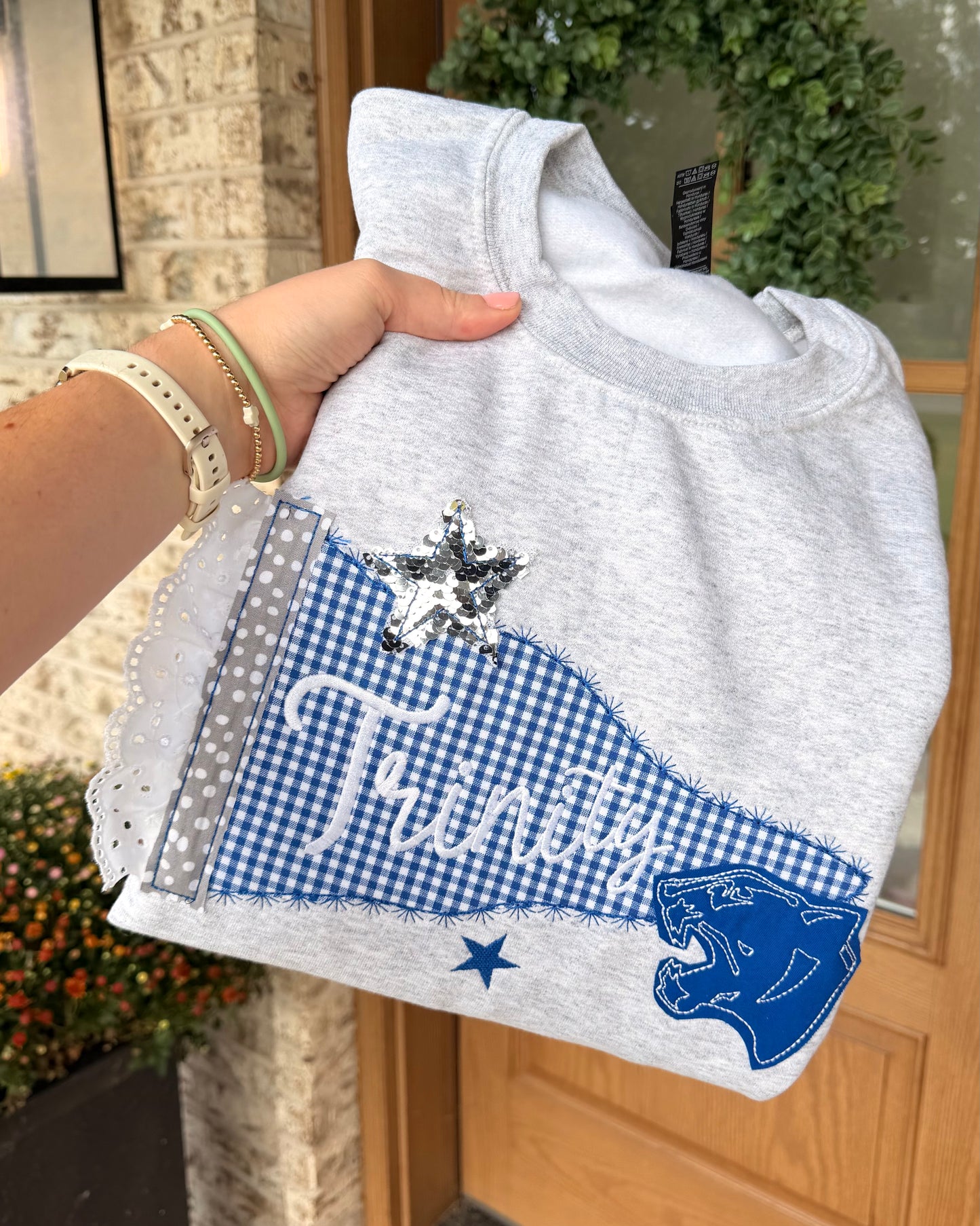 Panthers Pennant Applique Gildan Sweatshirt