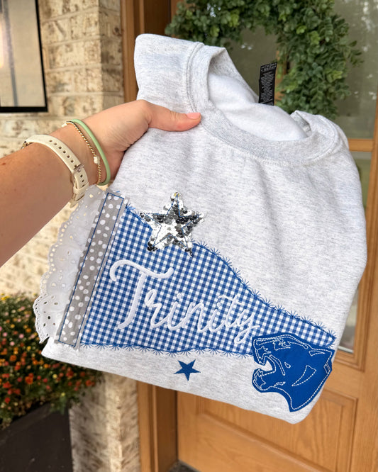 Panthers Pennant Applique Gildan Sweatshirt